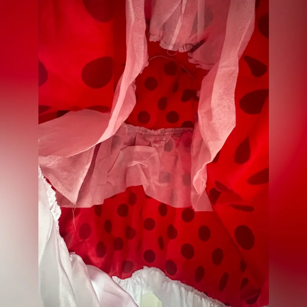 Disney Minnie Mouse red and white polka dots dress costume